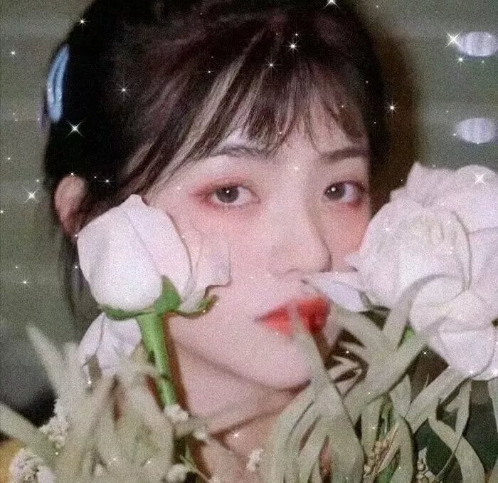 黑色月光 在线观看封面